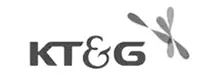 IT Yöneticisi, KT&G