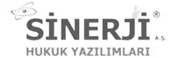 IT Yöneticisi, Sinerji A.Ş.